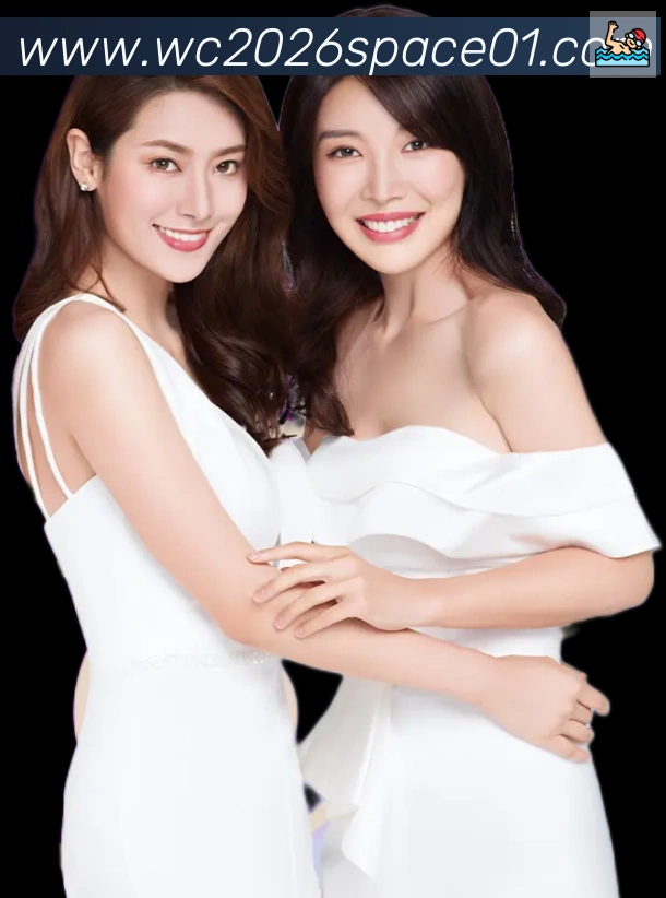 奖项证书
